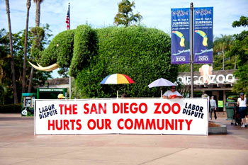 Union Bannering at the Zoo